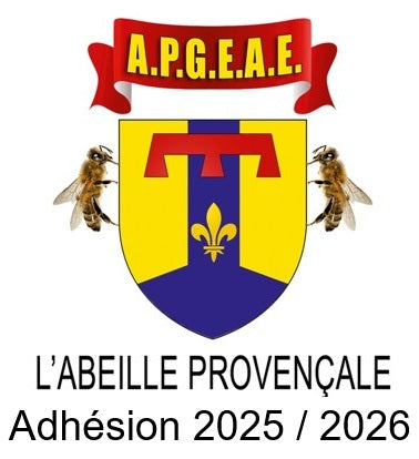 Adhésion de base